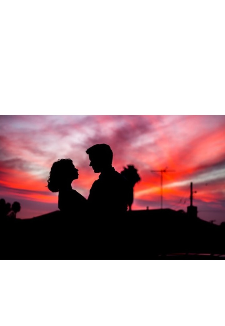 The Art of Blooming: Love Without Knowing&nbsp;Why