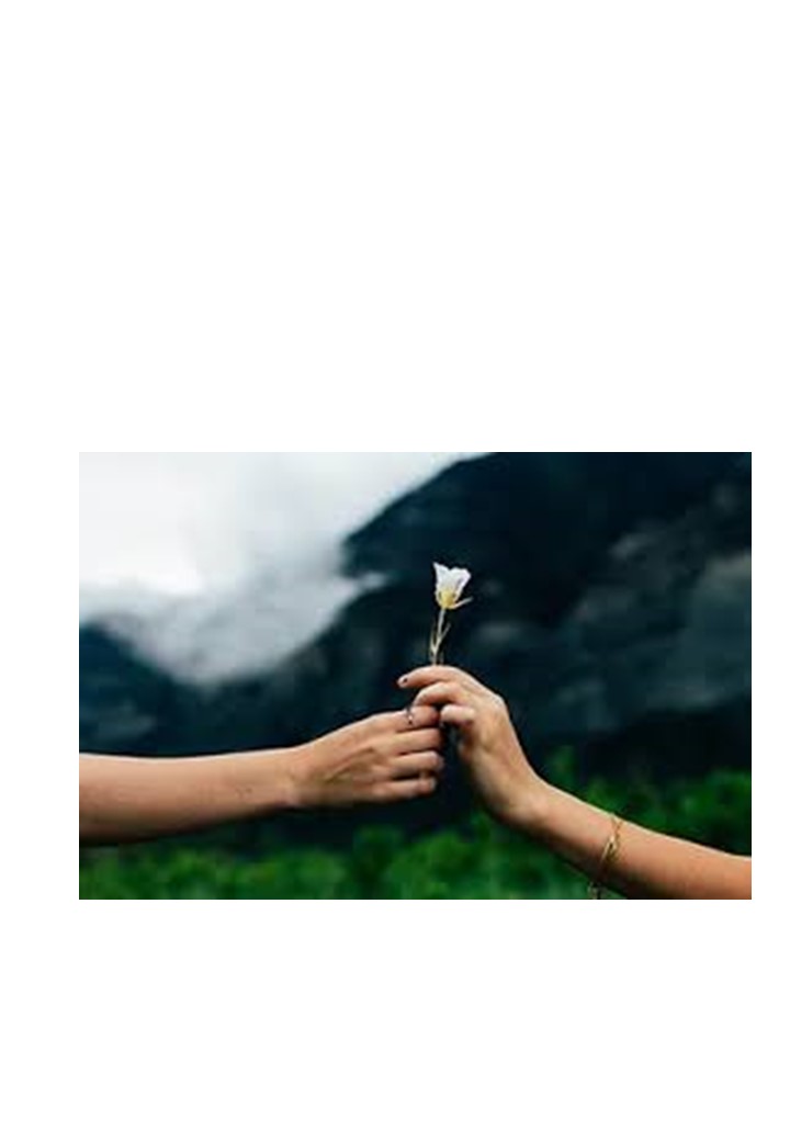 When Love Finds Its Safest&nbsp;Place