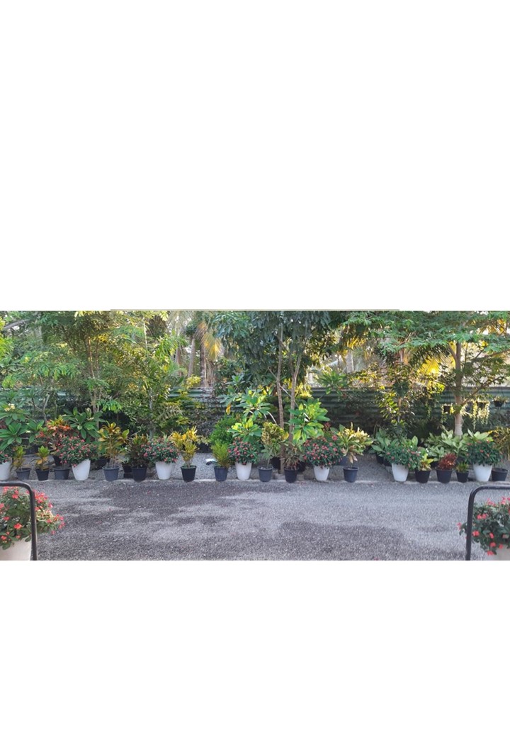 What Do I Enjoy Doing Most in My Leisure&nbsp;Time